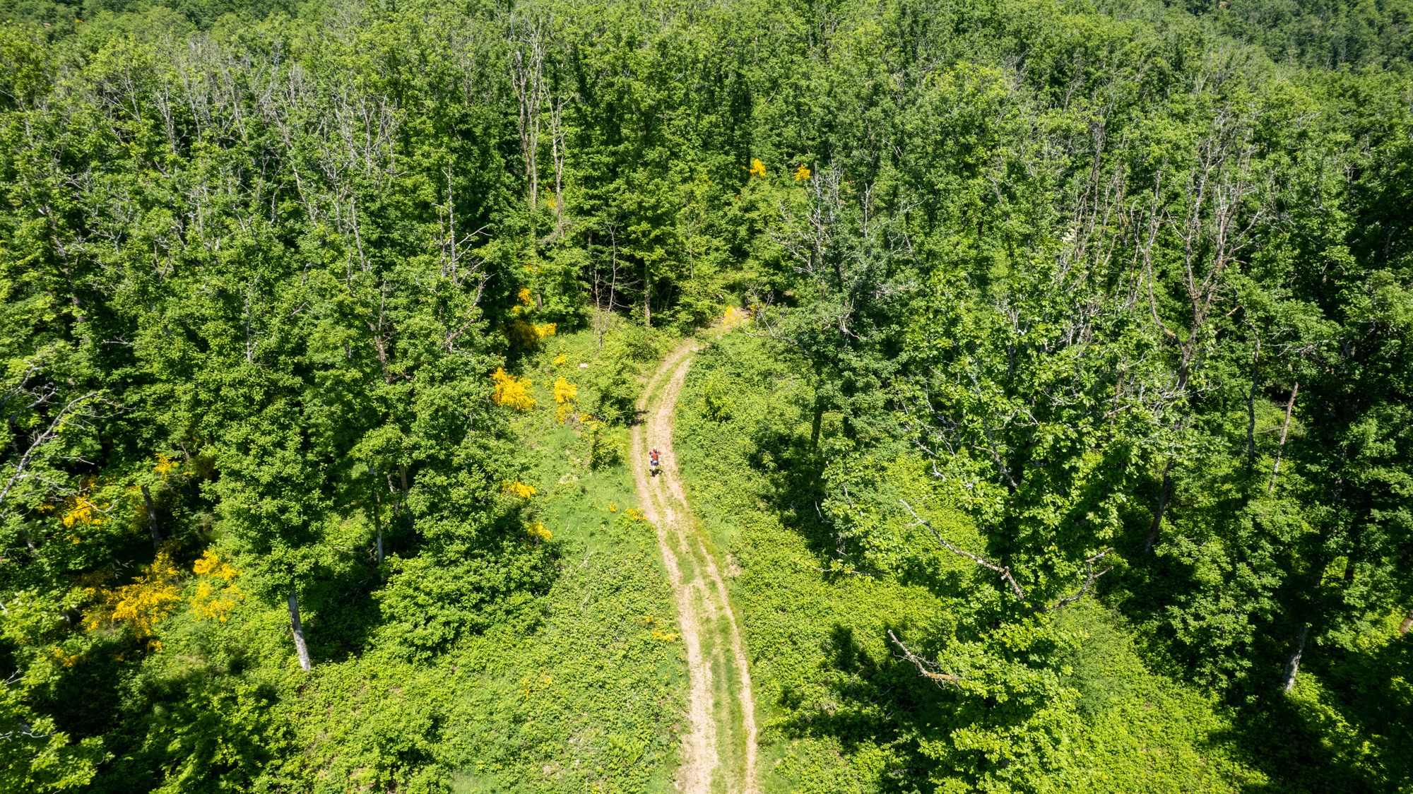 Trail des Mines - Photographie par Pierre Coutherut