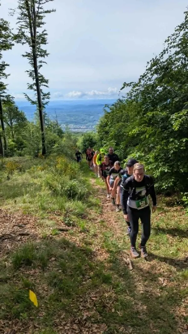 Cliché de course - Toutes courses (Moments forts)