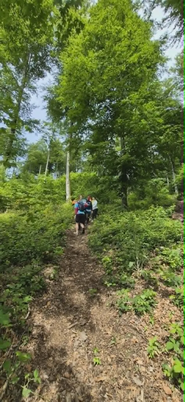 Cliché de course - Toutes courses (Moments forts)