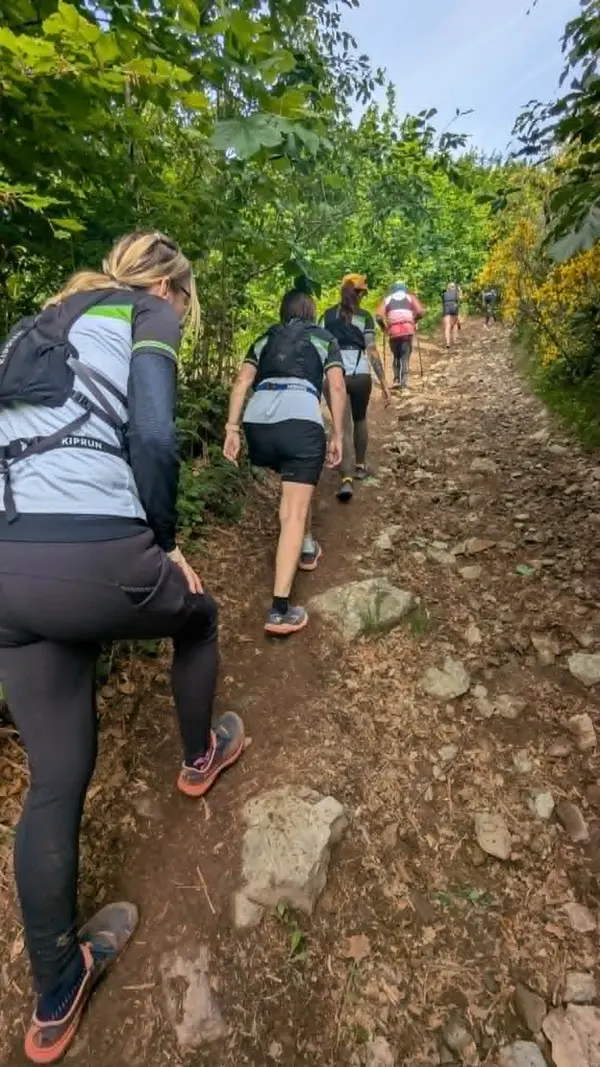 Cliché de course - Toutes courses (Moments forts)