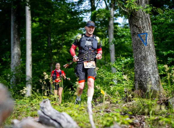 Cliché de course - Toutes courses (Moments forts)