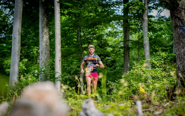 Cliché de course - Toutes courses (Moments forts)