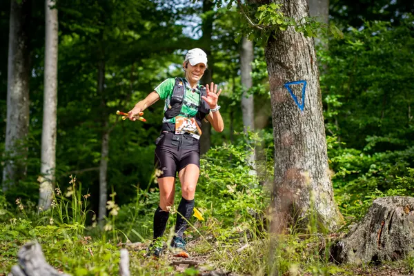 Cliché de course - Toutes courses (Moments forts)
