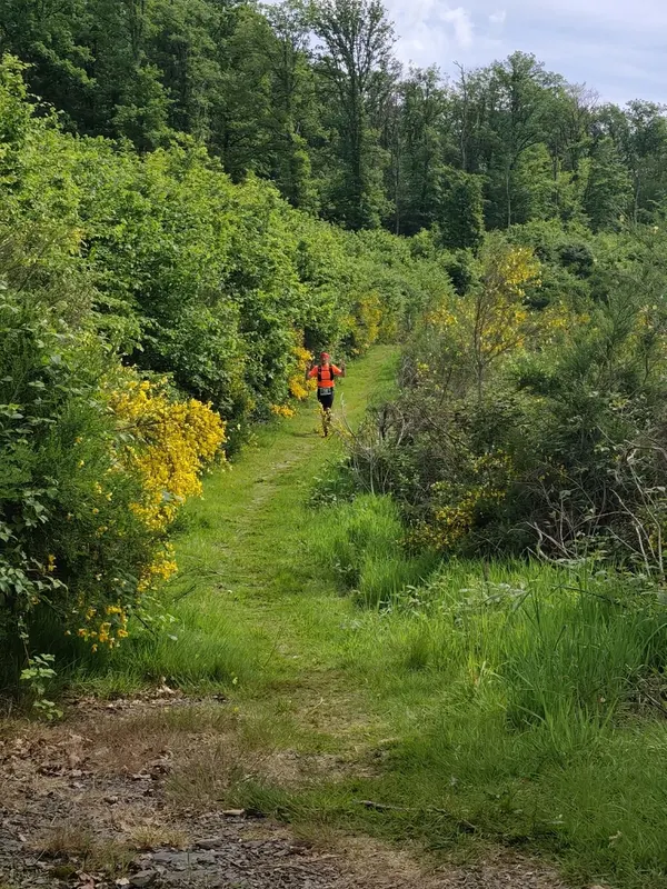 Cliché de course - Toutes courses (Moments forts)