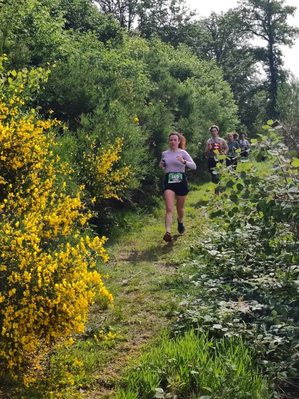 Cliché de course - Toutes courses (Moments forts)