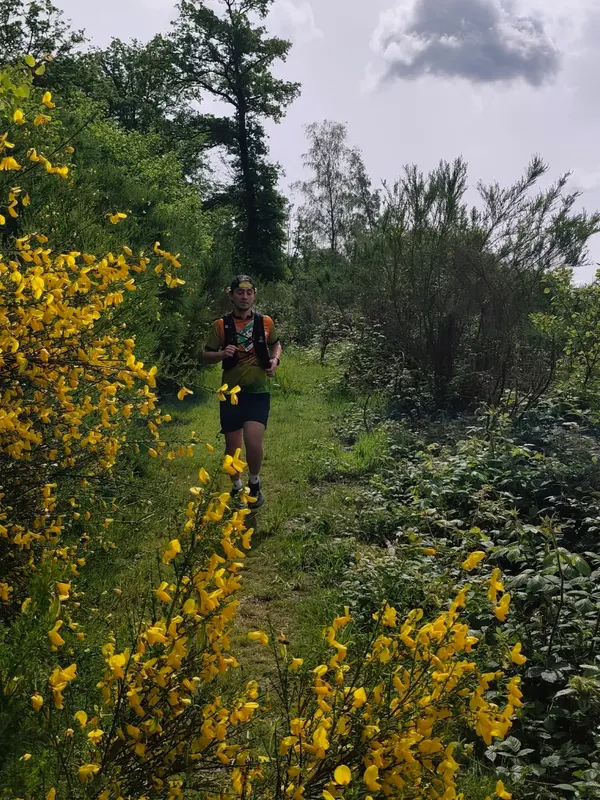 Cliché de course - Toutes courses (Moments forts)